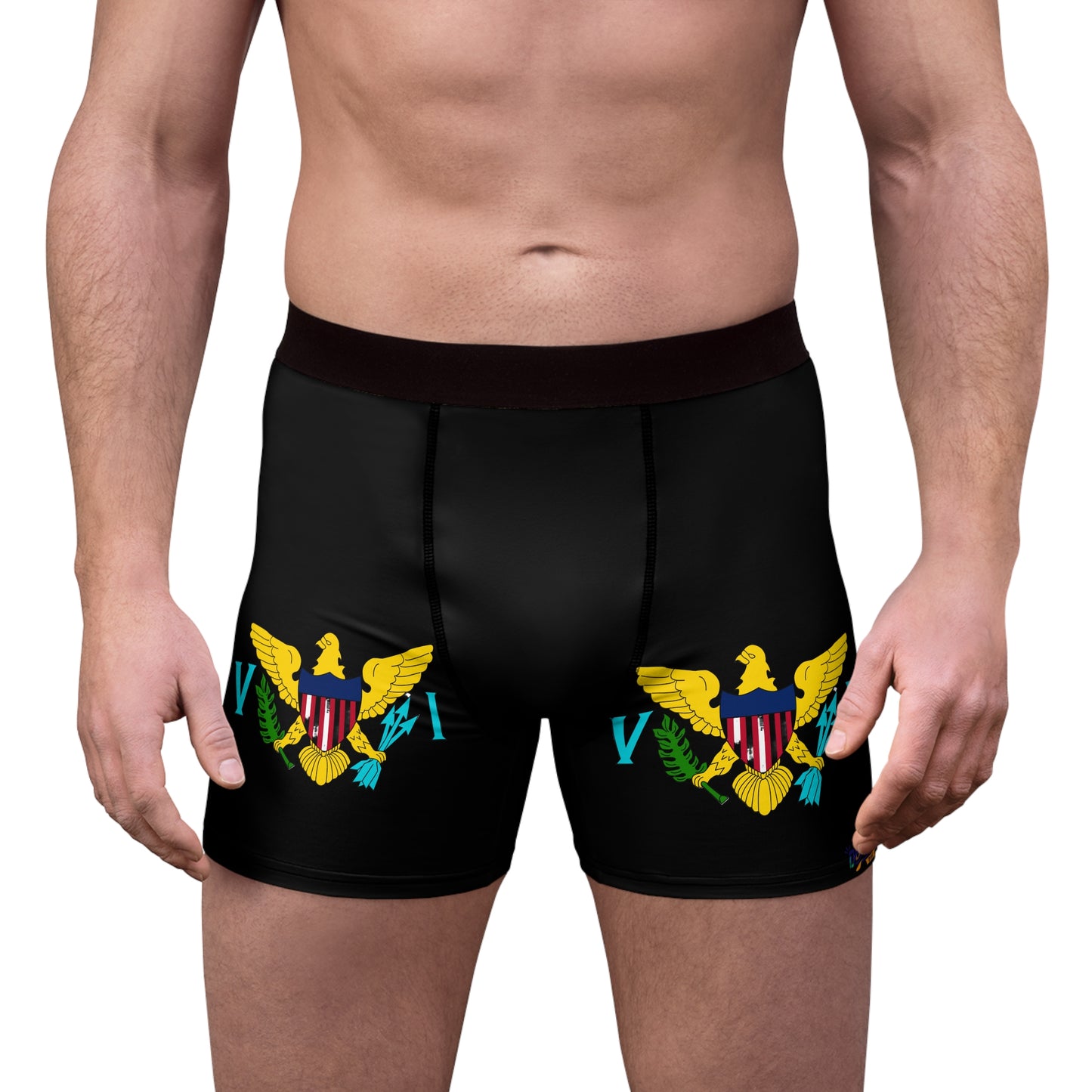 V I Flag Boxer Briefs Black