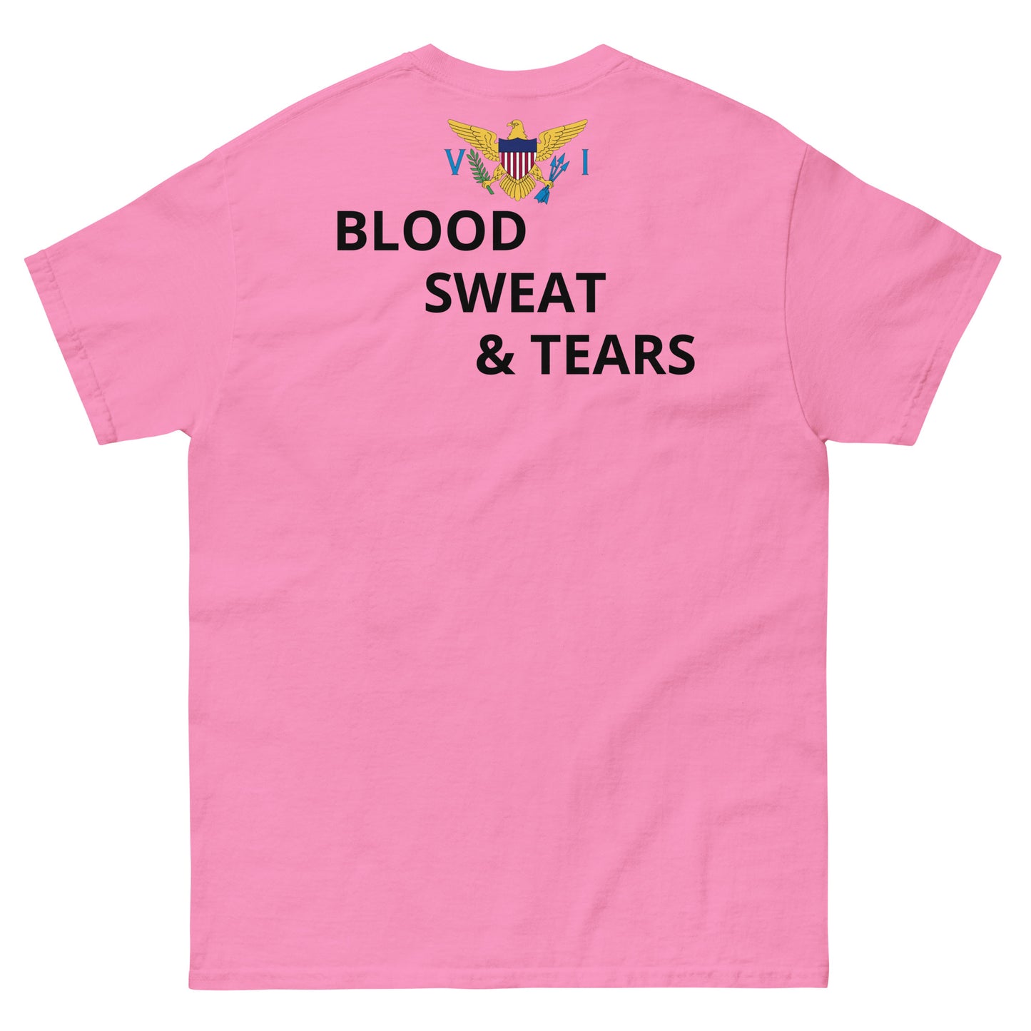 V I Fitness Men's classic tee