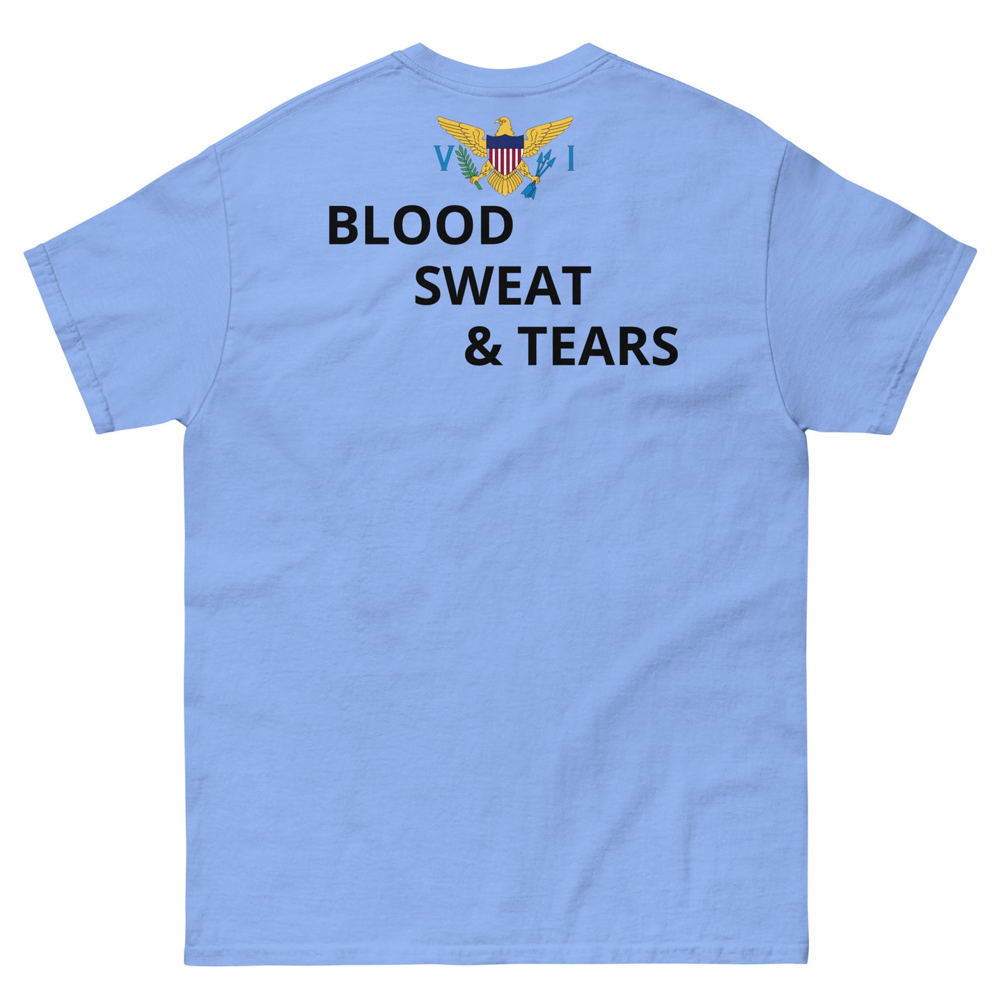 V I Fitness Men's classic tee