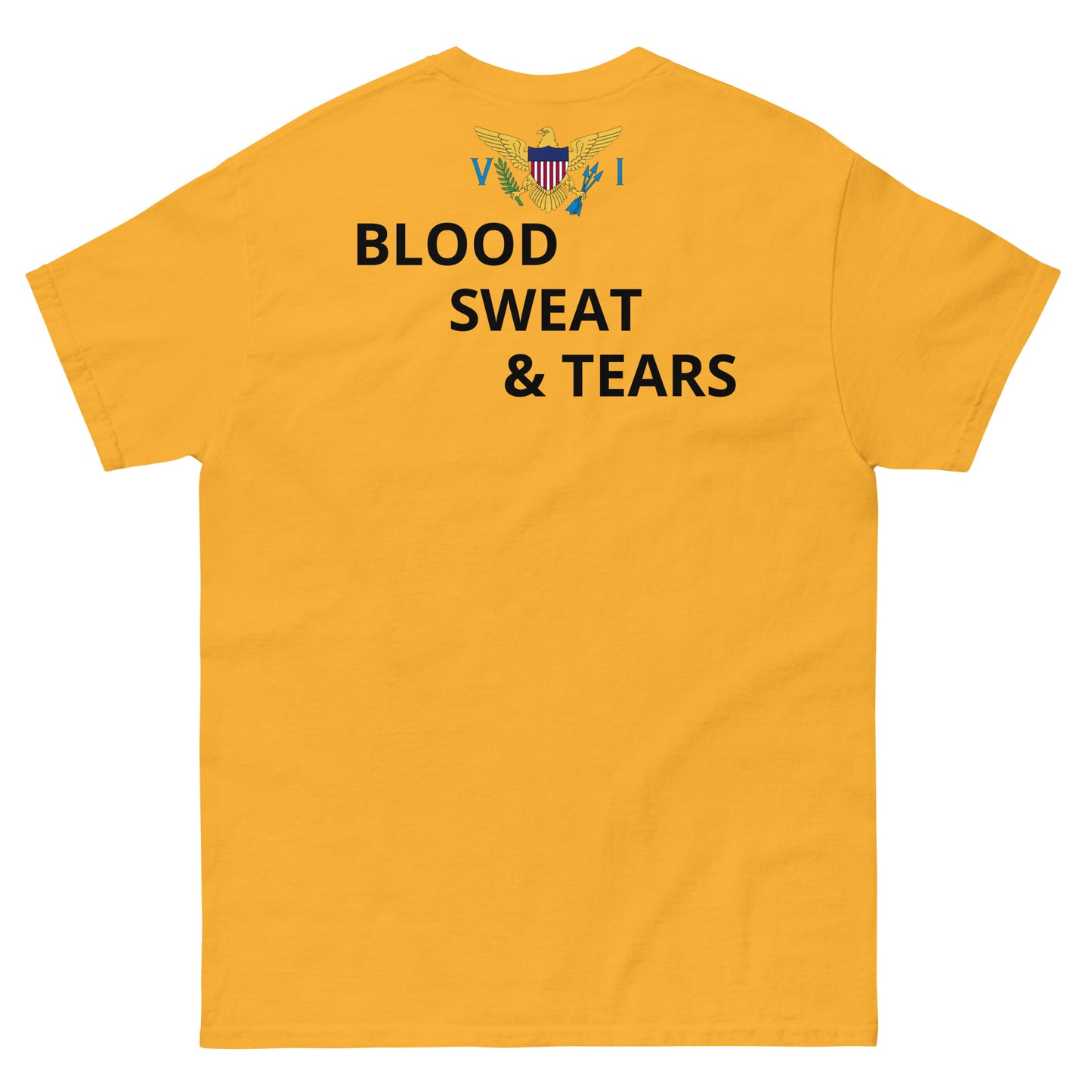 V I Fitness Men's classic tee