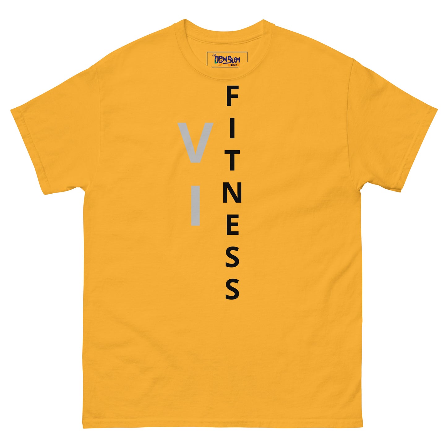 V I Fitness Men's classic tee