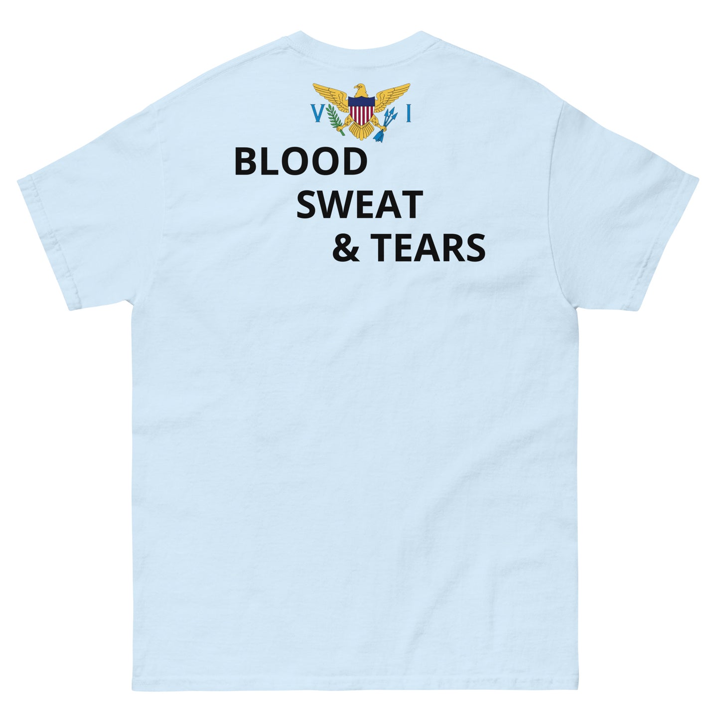 V I Fitness Men's classic tee