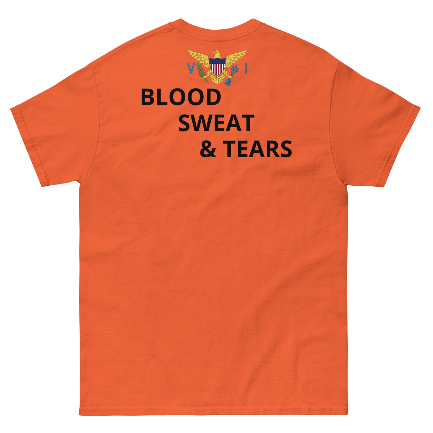 V I Fitness Men's classic tee