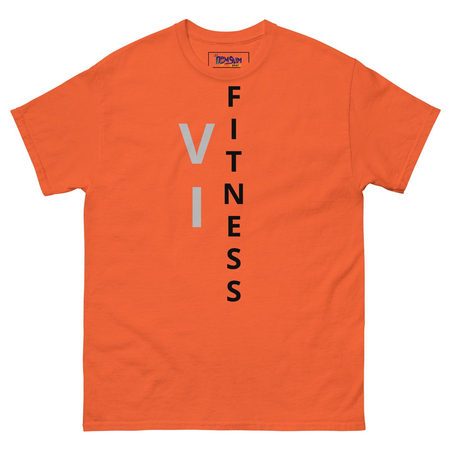 V I Fitness Men's classic tee