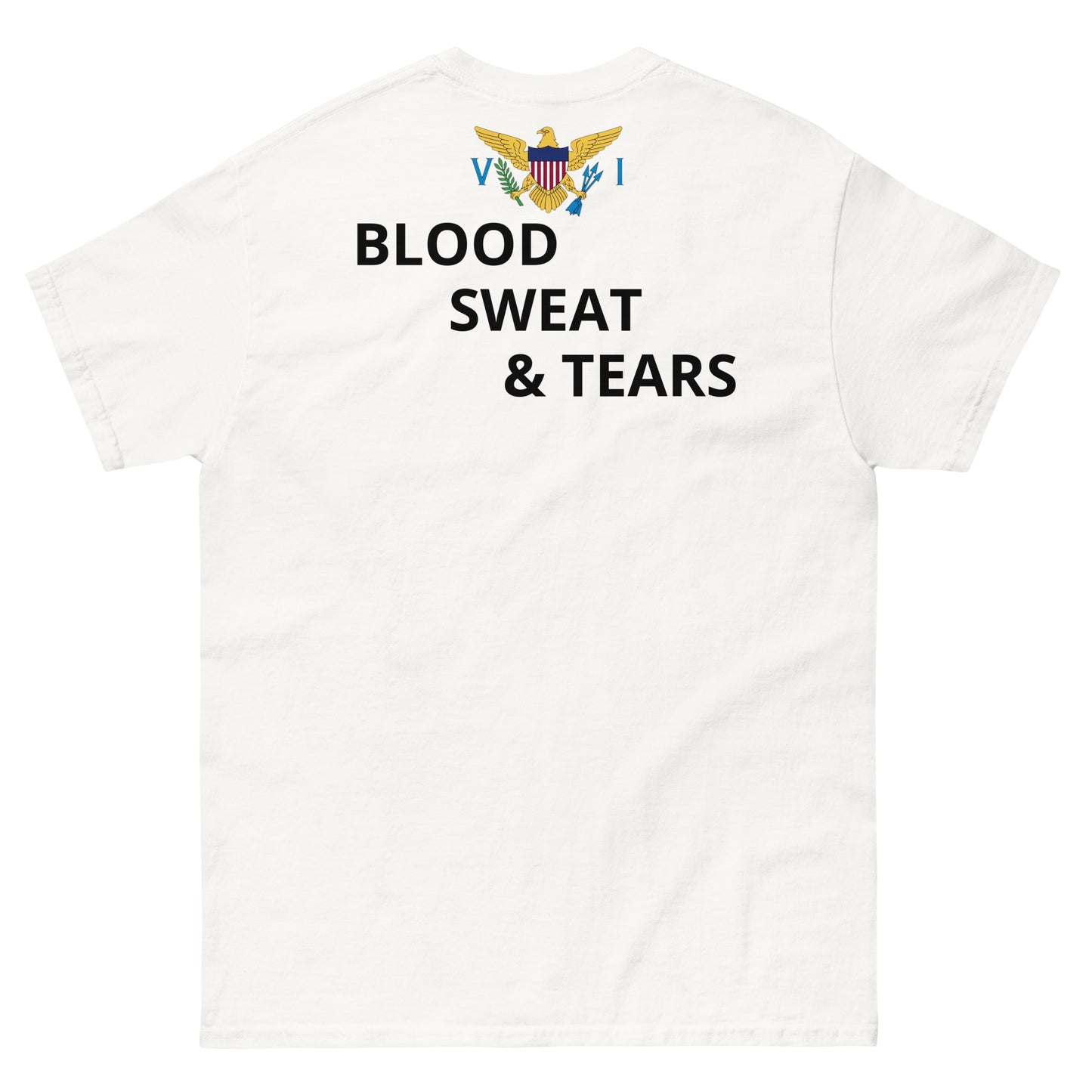 V I Fitness Men's classic tee